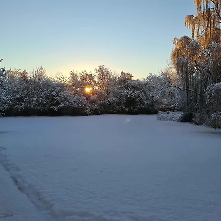 Spacious House With For Relaxation And Play Villa