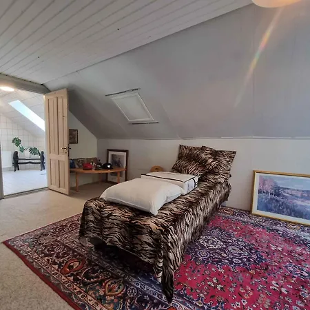 Spacious House With For Relaxation And Play Villa Brenderup